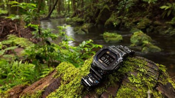 Age, Evolution, And Timeless Grace