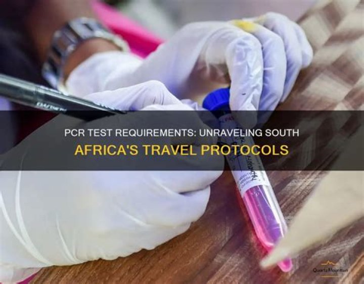 Discover The Revolutionary Travel Pass For Entering South Africa: Unraveling Security And Convenience