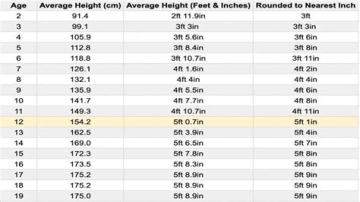 Exploring The Average For A 5'4" Frame