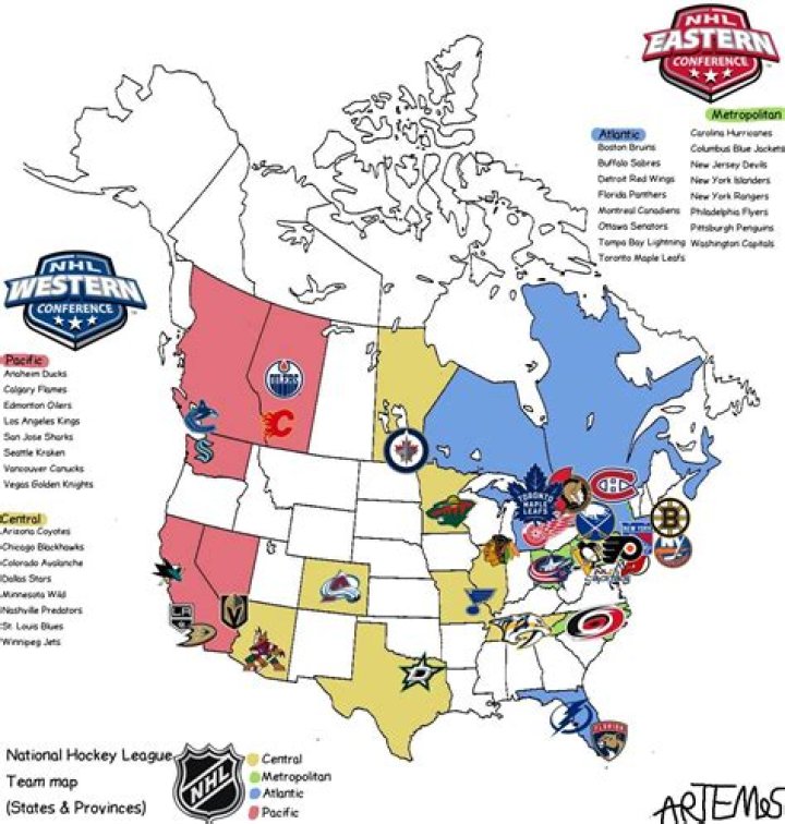 Insights Into An NHL Star