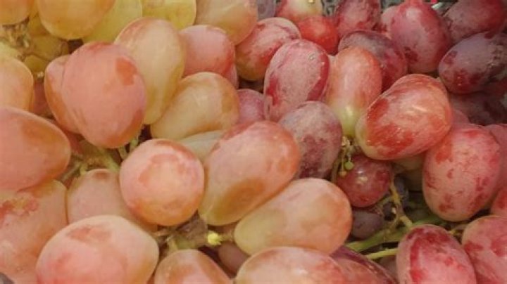 Is a grape a berry?