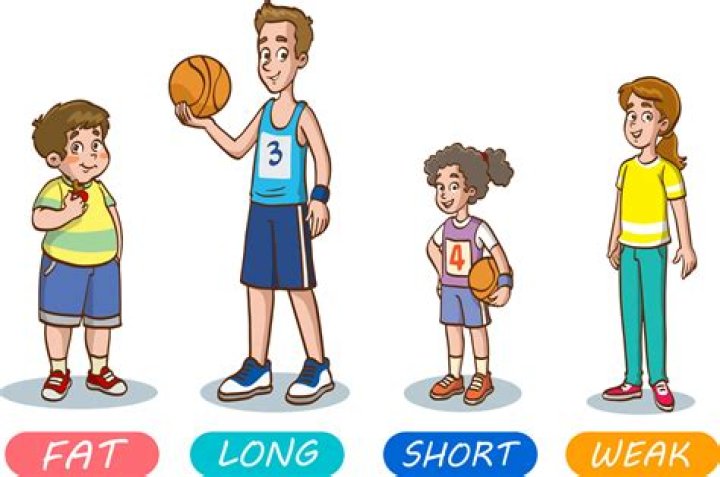 Maya Higa Height: How Tall or Short Is She?