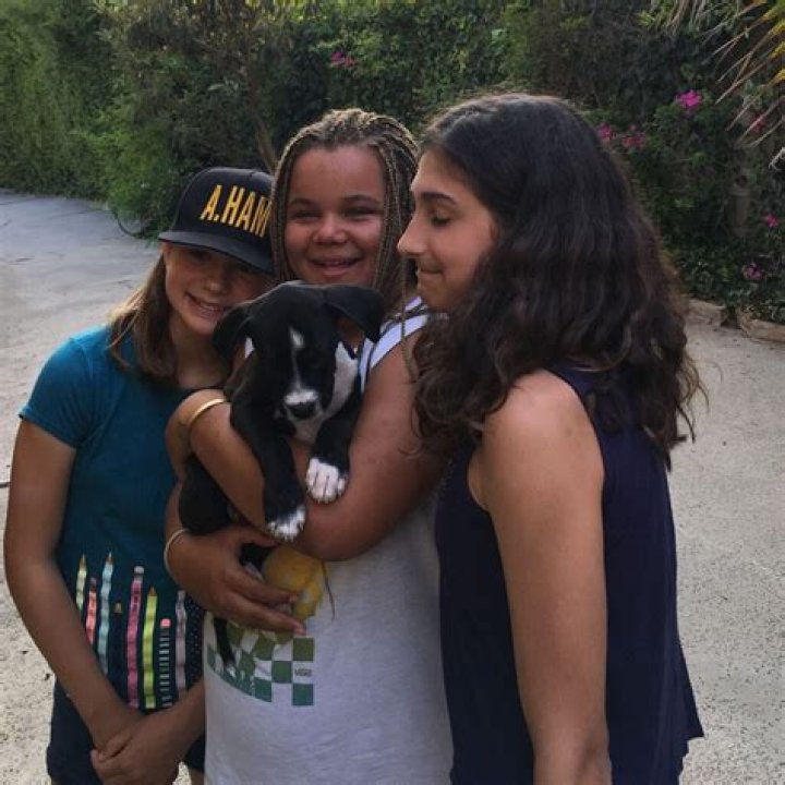 Piper Gooding's Journey To Fame