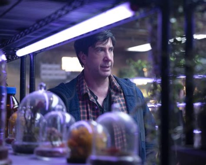 Uncover The Secrets Behind David Schwimmer's Brother