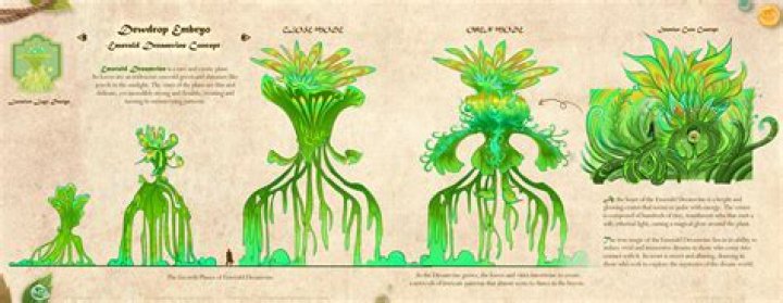 Unlocking The Secrets Of Plant Diversity With Jean-Claude Brouillet