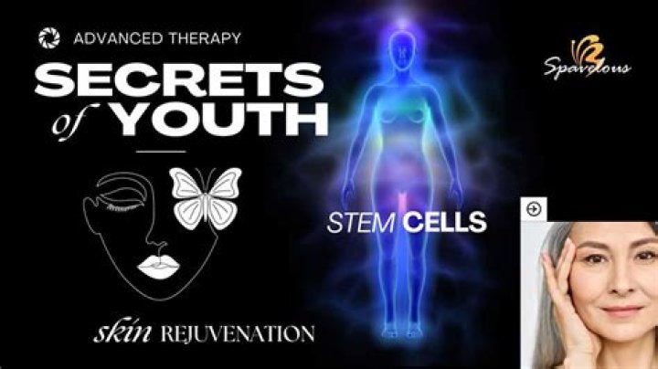 Unlocking The Secrets Of Youth
