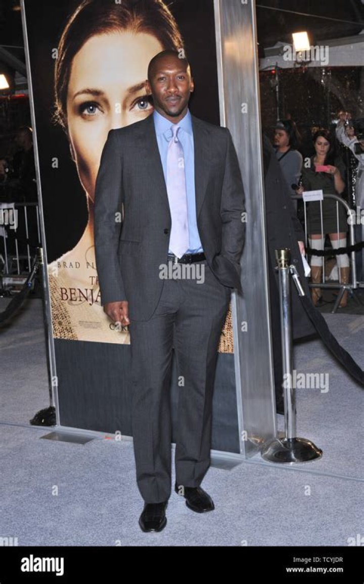 Unveiling The Curious Case Of Bill O'Reilly's Marital Status