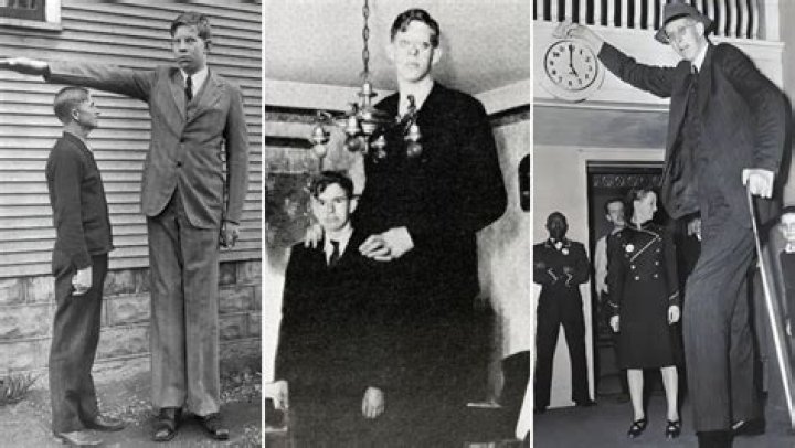 Unveiling The Towering Impact Of Extraordinary Height: Insights And Discoveries