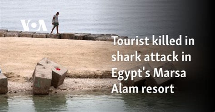 Unveiling The Truths Behind The Tragic Shark Attack In Egypt