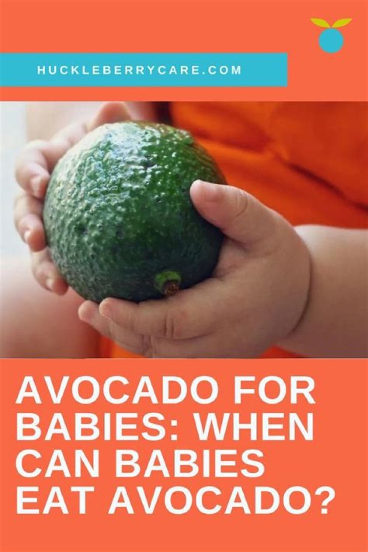 When can babies eat avocado?